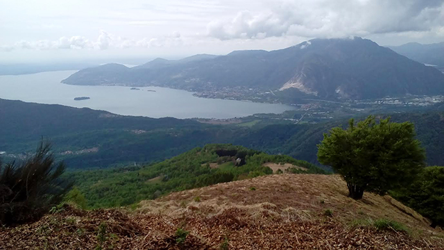 Kilometro Verticale di Cossogno 2018