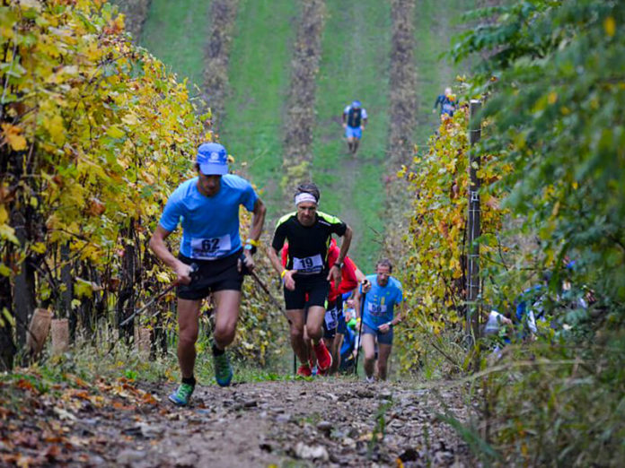 Brutal Trail 2019 (classifica e foto)