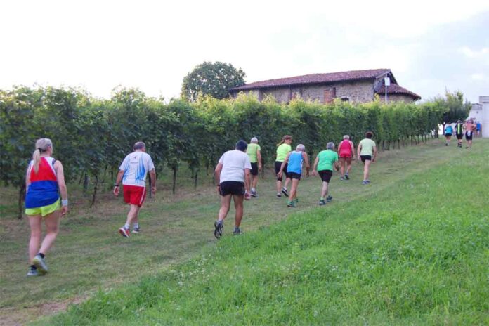 cressa-gamba-oro-luglio-2023